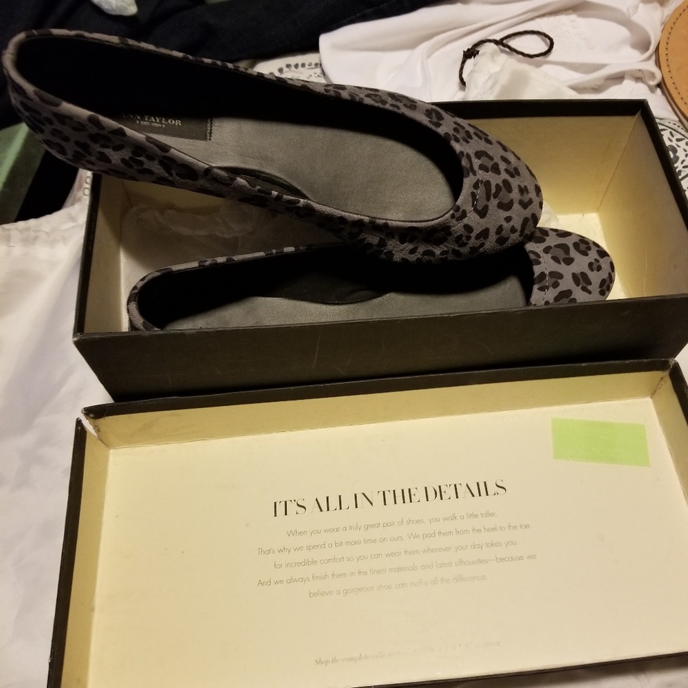 Ann Taylor Flats